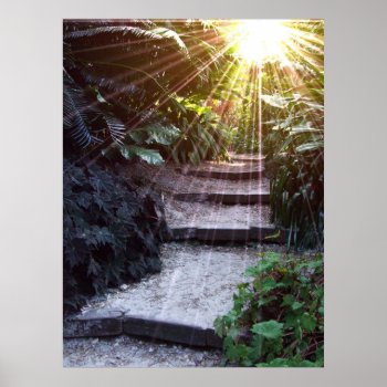 Natural Ascension Poster by Juanyg at Zazzle