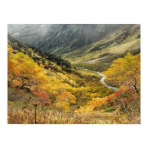 Natural autumn yellow leaves