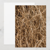 Natural background hay (Front/Back)