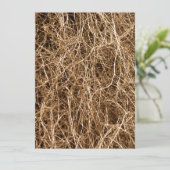 Natural background hay (Standing Front)