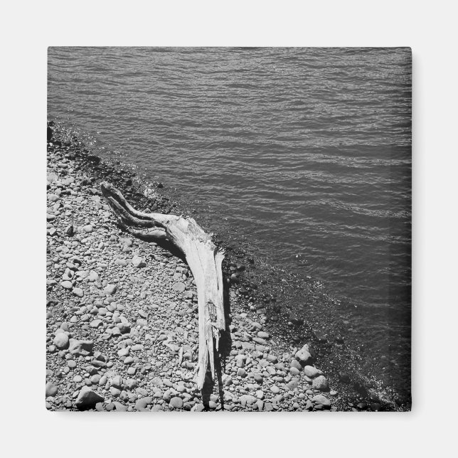 Natural Balance - Driftwood Still Life Magnet (Front)