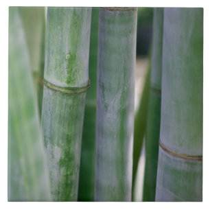 Natural Bamboo Zen Background Customized Template Ceramic Tile