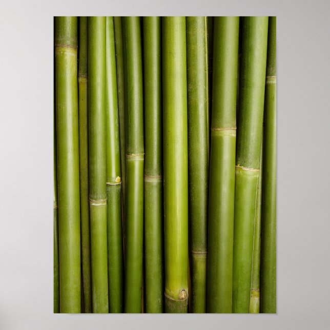 Natural Bamboo Zen Background Customized Template Poster (Front)