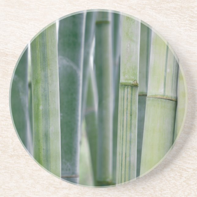 Natural Bamboo Zen Background Customized Template Sandstone Coaster (Front)