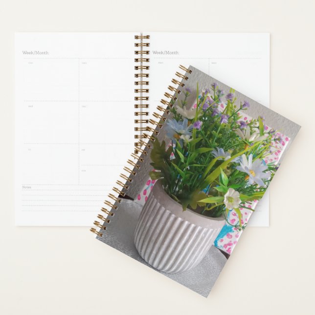 Natural beauty agenda (Display)