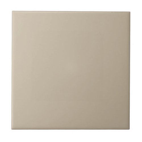 Natural Beige _ Taupe Solid Color Pairs To SW 6149 Ceramic Tile