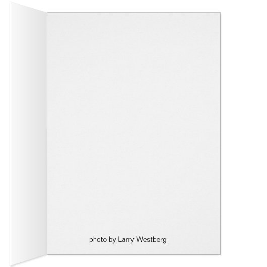 Natural Bridge (Inside (Right))