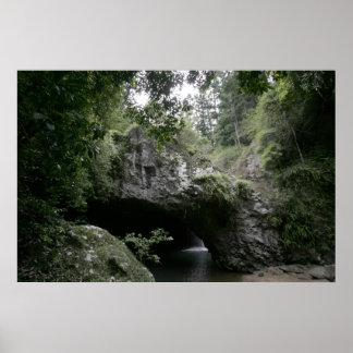 Natural Bridge Poster