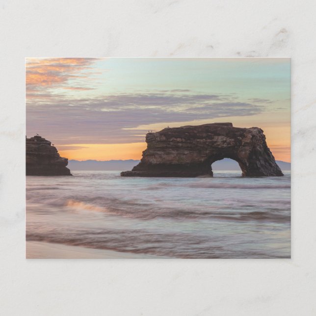 Natural Bridges Santa Cruz California Coastline Postcard (Front)