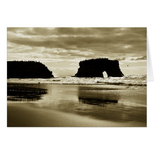 Natural Bridges State Beach Cards (Front Horizontal)