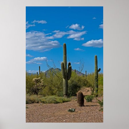 Natural Cactus Landscape 3994 Poster