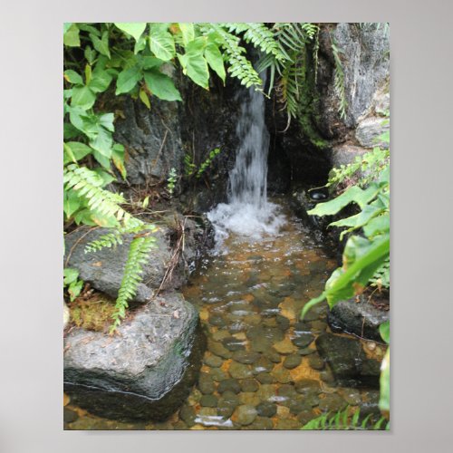 Natural Creek Waterfall scene Poster