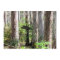 Natural Cross in the Swamp Flat Card