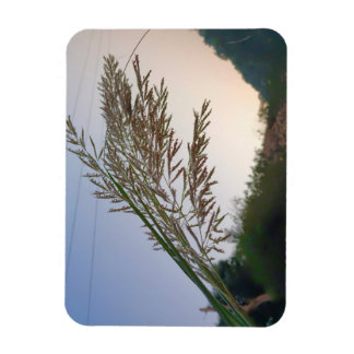 Natural design  magnet