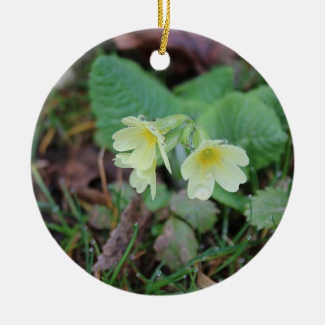 Natural Design Pendant  Ceramic Ornament (Front)