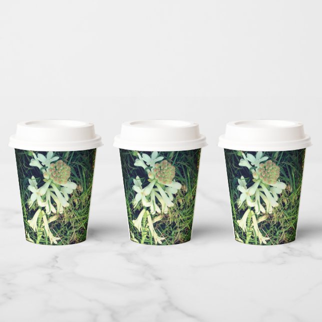 Natural design stylish paper mug cups (Multi)
