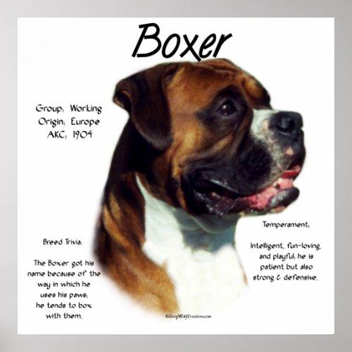 Natural Ear Boxer Meet the Breed Poster