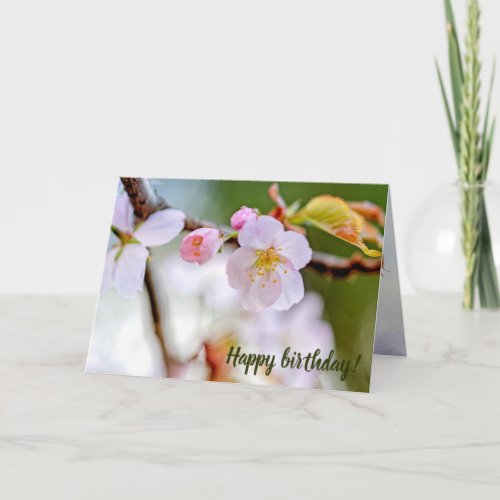 Natural Floral Composition Of Sakura Flowers Card