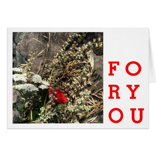 Natural flowers cards (Front Horizontal)