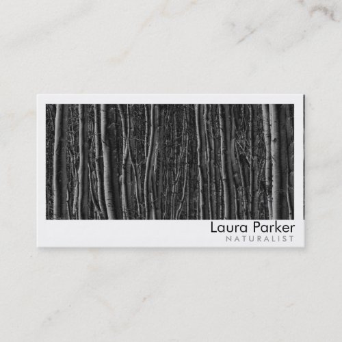 Natural Forest Birch Tree Care Landscape Lawn Business Card