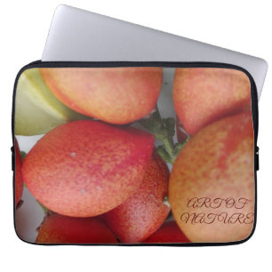 Natural fruit art gift of daughters day valentine laptop sleeve