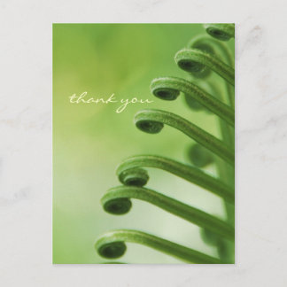 Natural, Green Curly Leaf Postcard