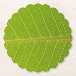 Natural Green Leaf and Light Yellow Line Design Paper Coaster