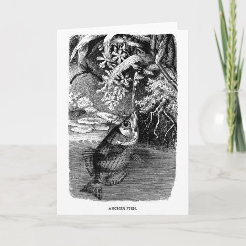 Natural History Blank Note Card