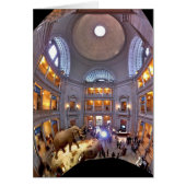 Natural History Museum (Front)