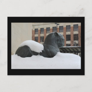 Natural History Museum, Ann Arbor, MI Postcard