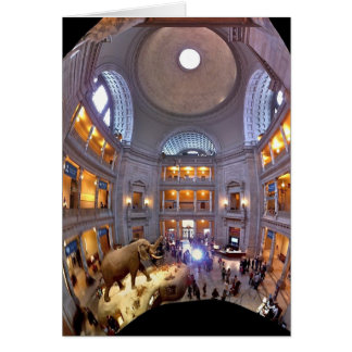 Natural History Museum Cards