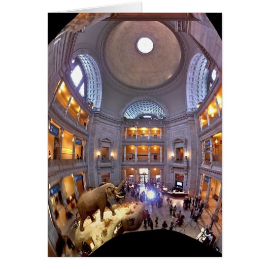 Natural History Museum Cards (Front)