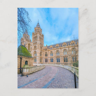 Natural History Museum, London UK Postcard