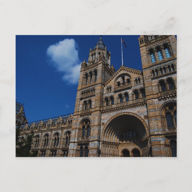 Natural History Museum Postcard (Front)