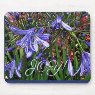 Natural Joy Purple Lilies of the Nile Flowers