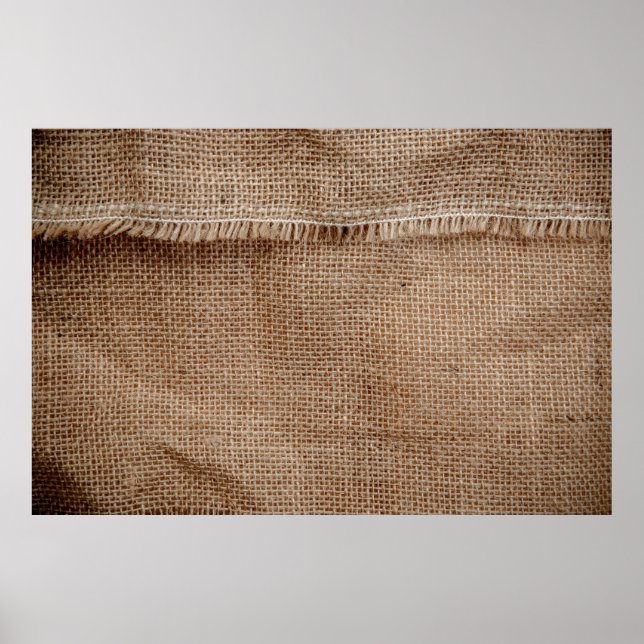 Natural line texture backgroundcoffee, sack, abstr poster (Front)