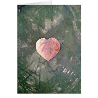 Natural Love, IIII Cards