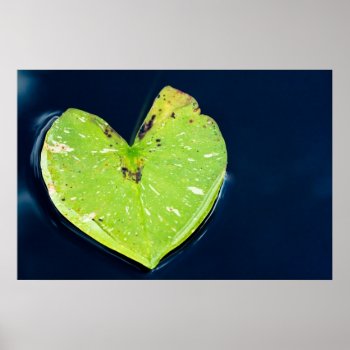 Natural Love Poster by jvrphotography at Zazzle
