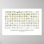 Natural Orders Of Plants - All Illustrations Poster at Zazzle