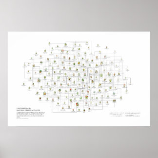 Natural Orders of Plants - Likenesses Poster