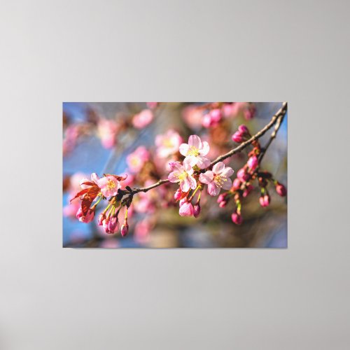 Natural Painting Of Sakura Flowers On A Windy Day Canvas Print