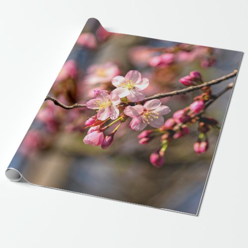 Natural Painting Of Sakura Flowers On A Windy Day Wrapping Paper