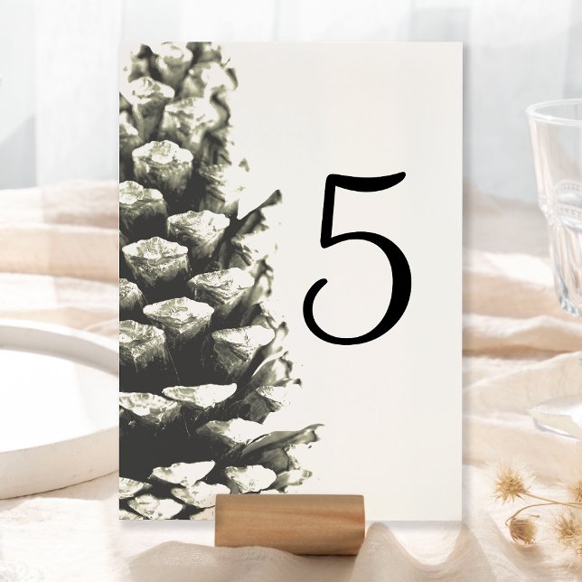 Natural Pine Cone on White Wedding Table Number (Creator Uploaded)