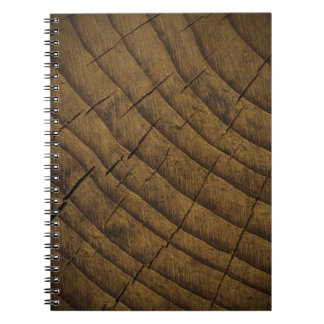 Natural Pine Wood Background. Raw Material. Organ Notebook