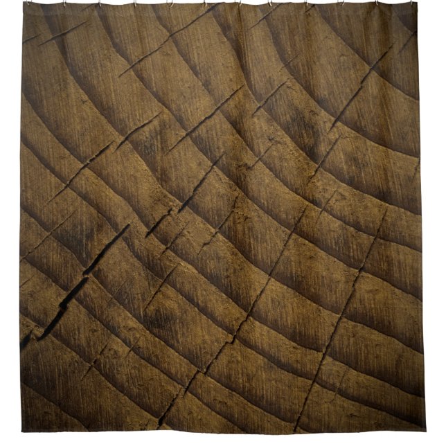  Natural Pine Wood Background. Raw Material. Organ Shower Curtain (Front)