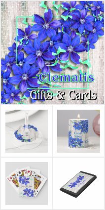 Natural Purple Clematis Flowers -  Gifts & Cards
