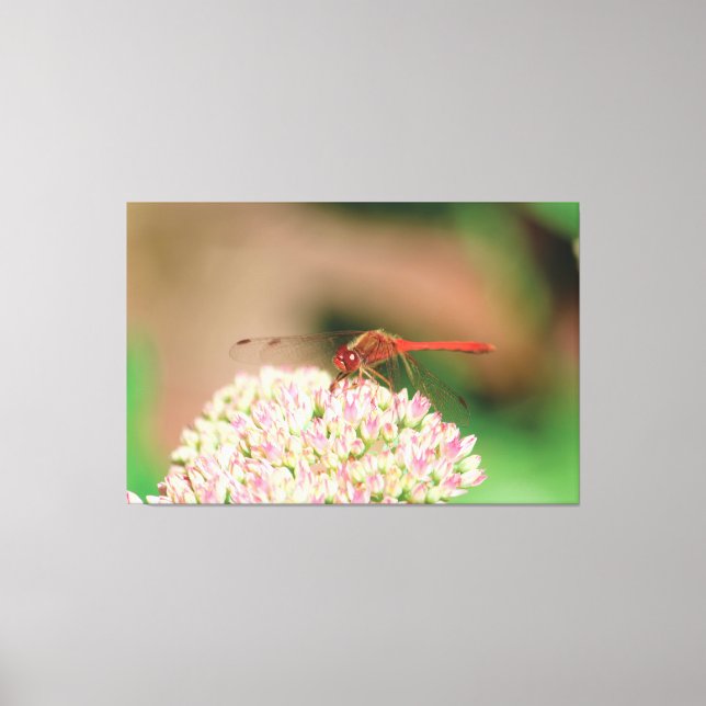 Natural Red Dragonfly Canvas Print (Front)