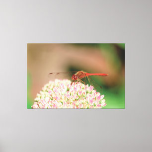 Natural Red Dragonfly Canvas Print