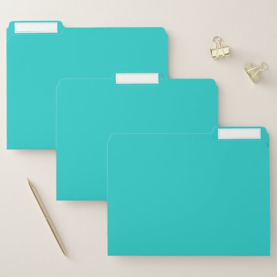 Natural Robin S Egg Blue Color File Folder Zazzle