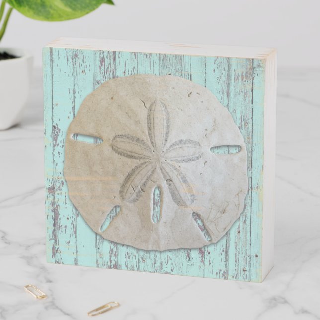 Natural Sand Dollar Blue Wood Wall Art Wooden Box Sign (In Situ Horizontal)